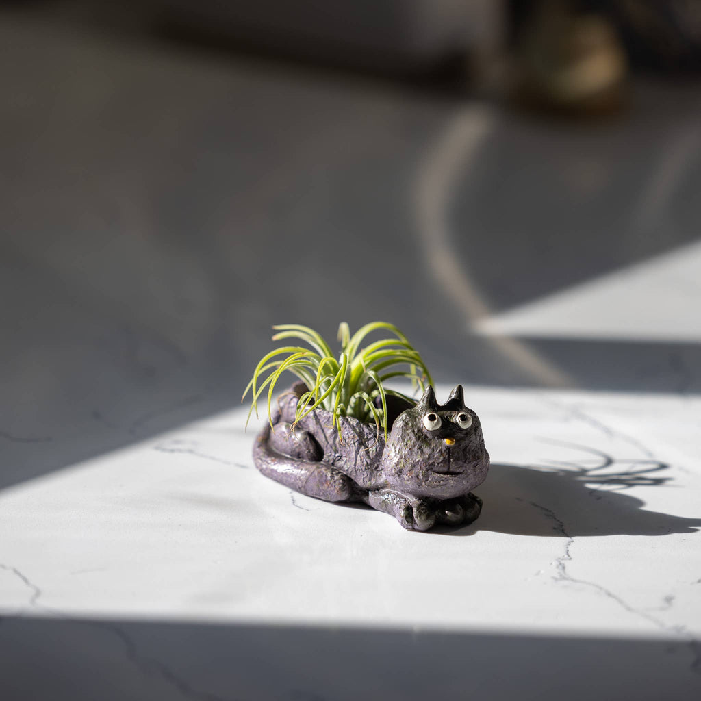 Baby Violet Mini Blobhouse Planter