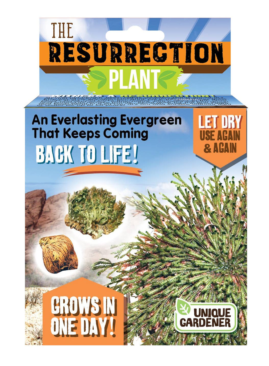 Resurrection Plant