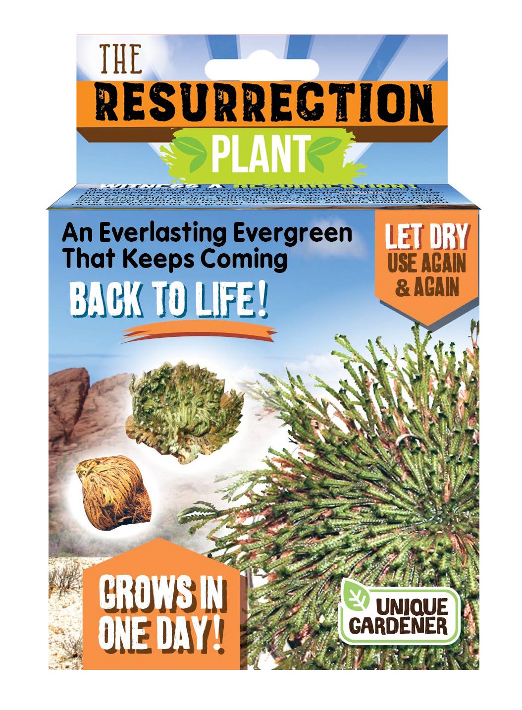 Resurrection Plant