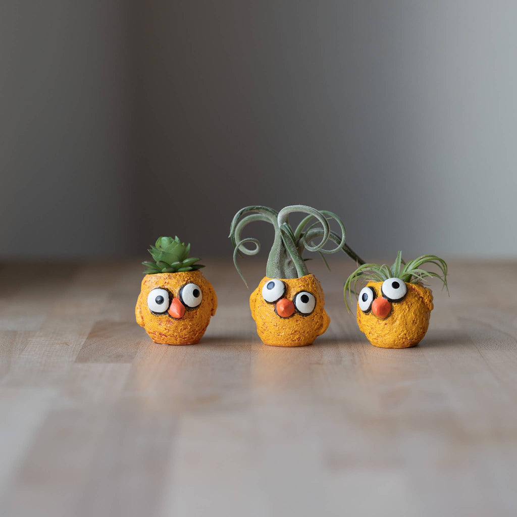 The Chickies - 3 piece - Baby Chick Blobhouse Planters