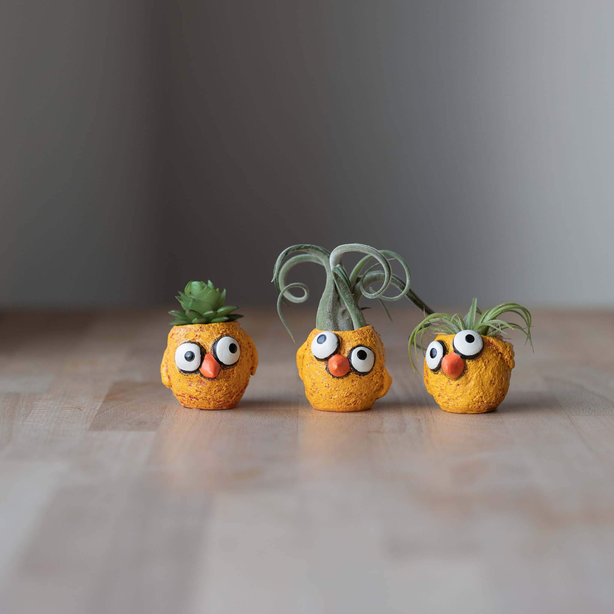 The Chickies - 3 piece - Baby Chick Blobhouse Planters