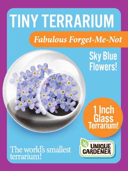 The World's Smallest Terrarium