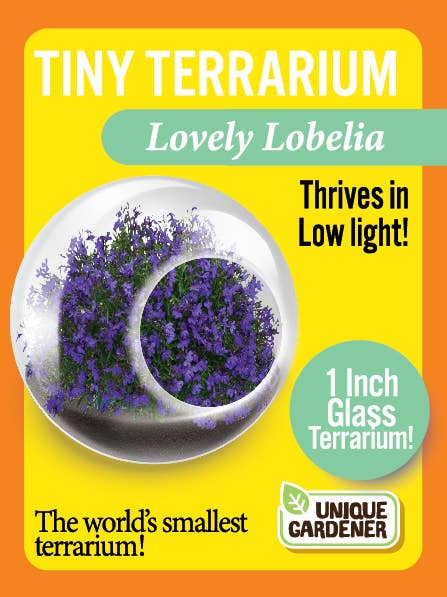 The World's Smallest Terrarium