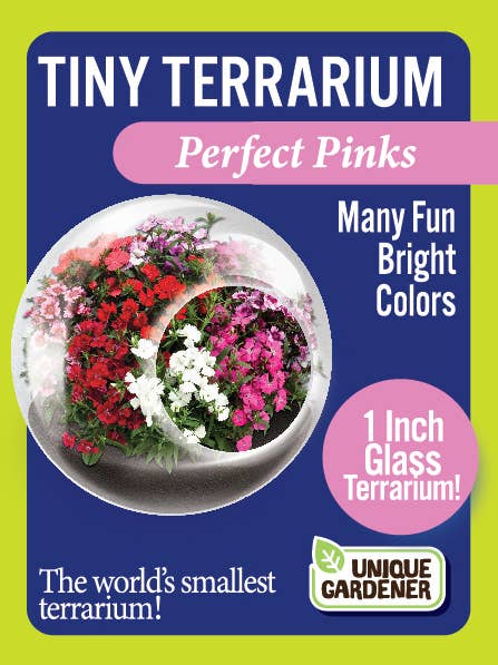 The World's Smallest Terrarium