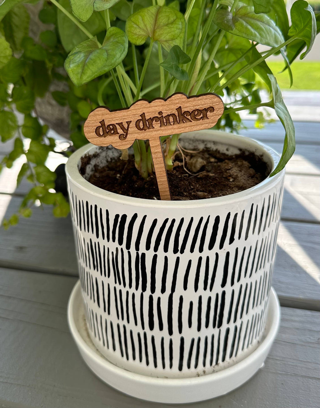 New Plant Sayings Word Bubbles Funny Plant Stakes