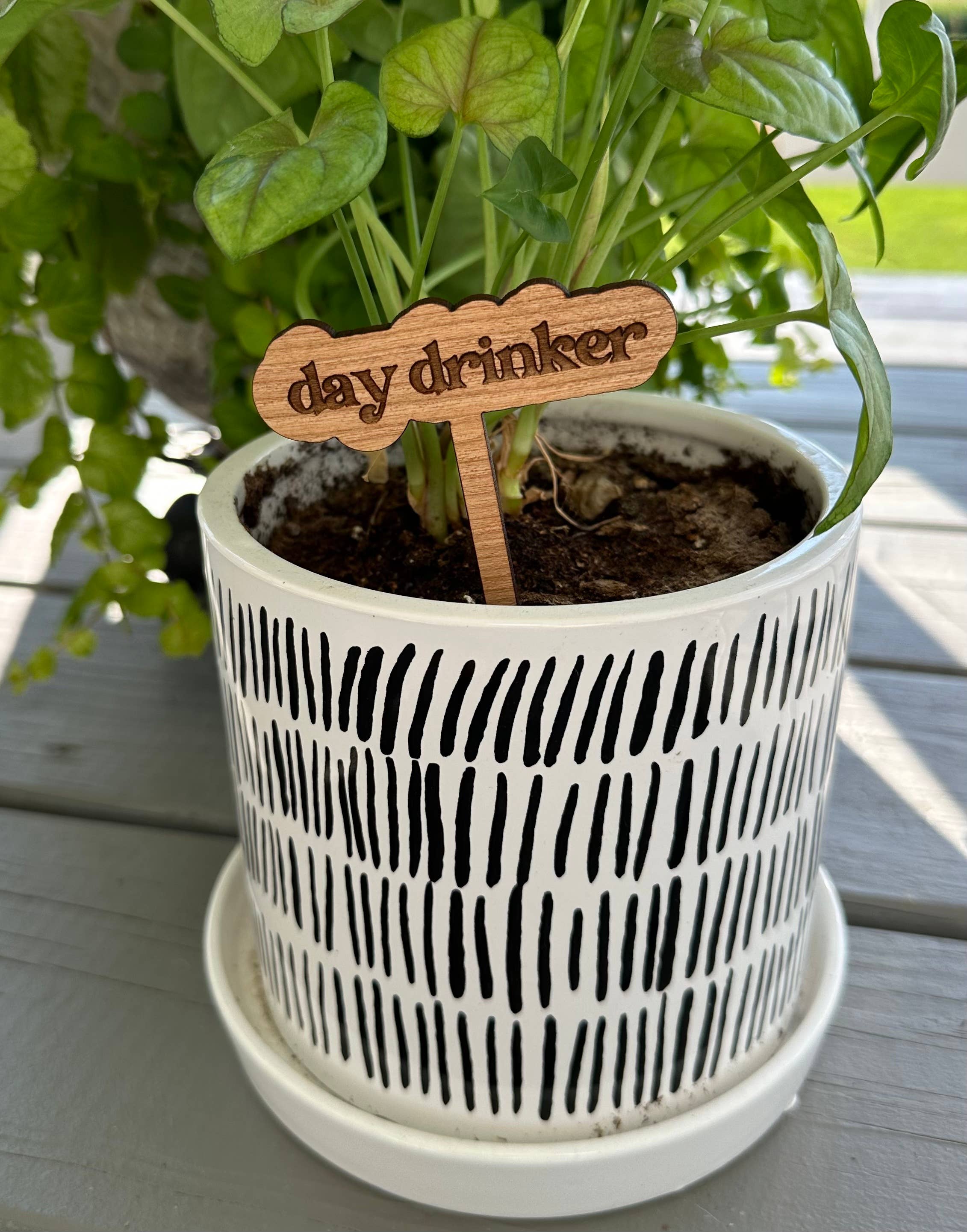 New Plant Sayings Word Bubbles Funny Plant Stakes