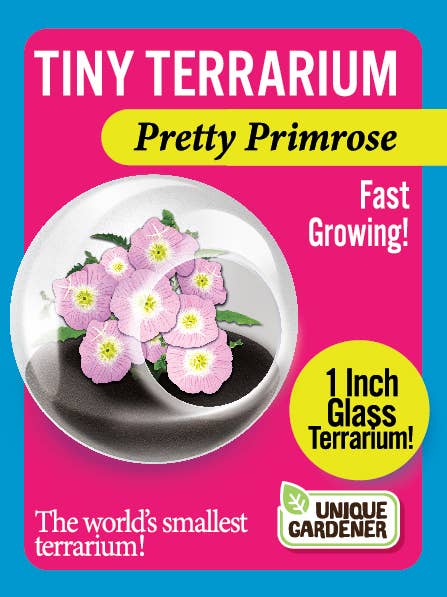 The World's Smallest Terrarium
