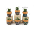 Mini Pots