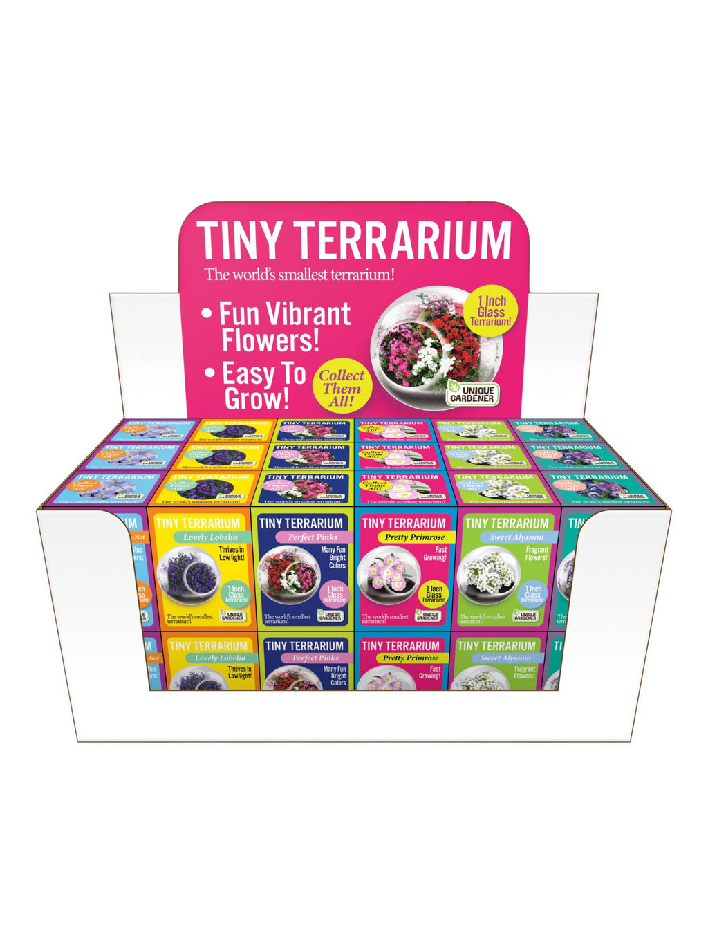 The World's Smallest Terrarium
