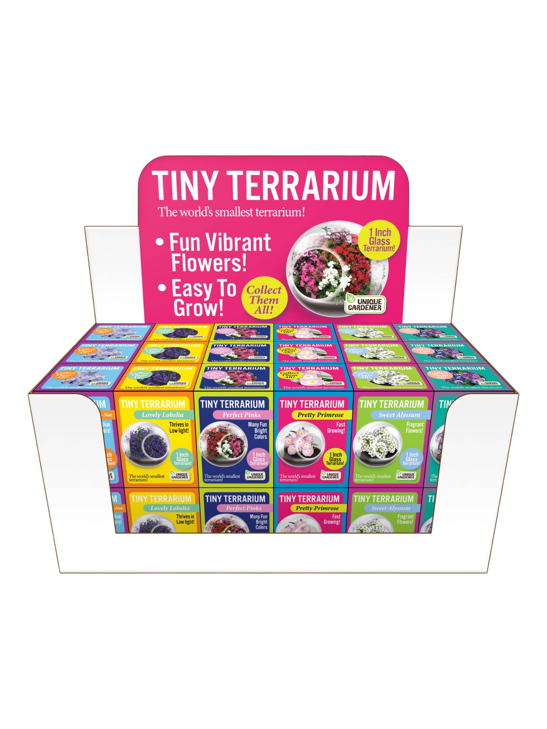The World's Smallest Terrarium