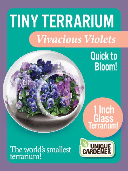 The World's Smallest Terrarium