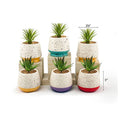 Mini Pots