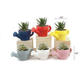 Mini Pots