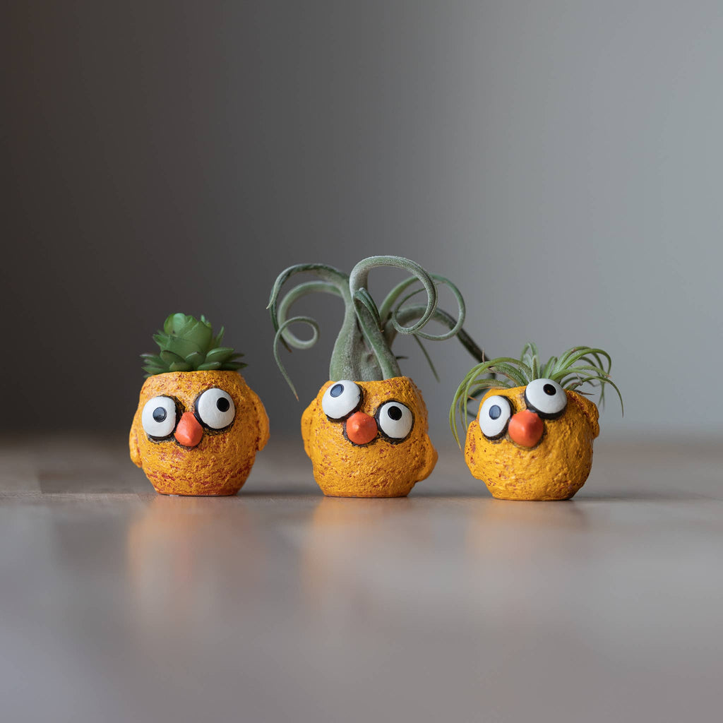 The Chickies - 3 piece - Baby Chick Blobhouse Planters