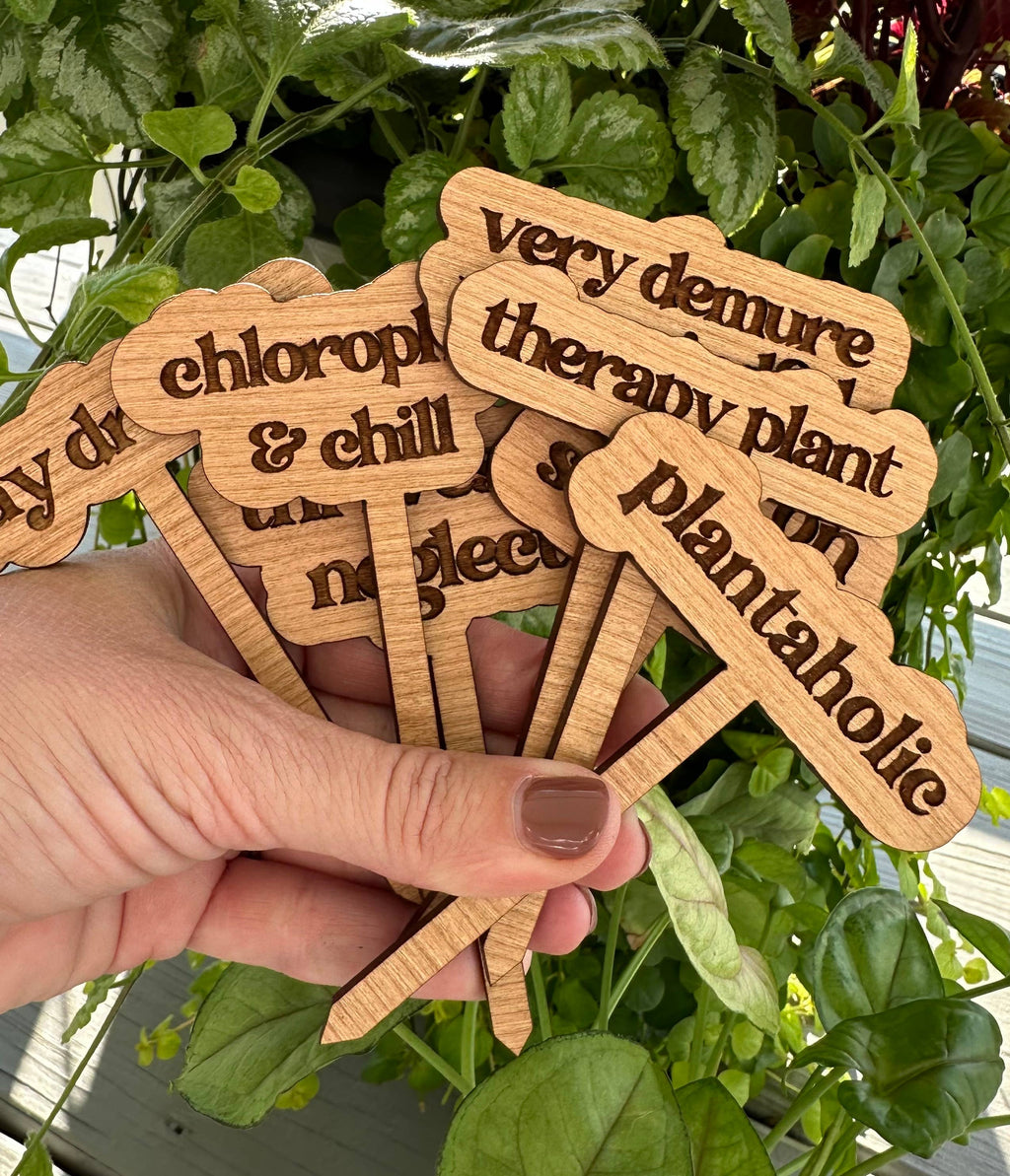New Plant Sayings Word Bubbles Funny Plant Stakes