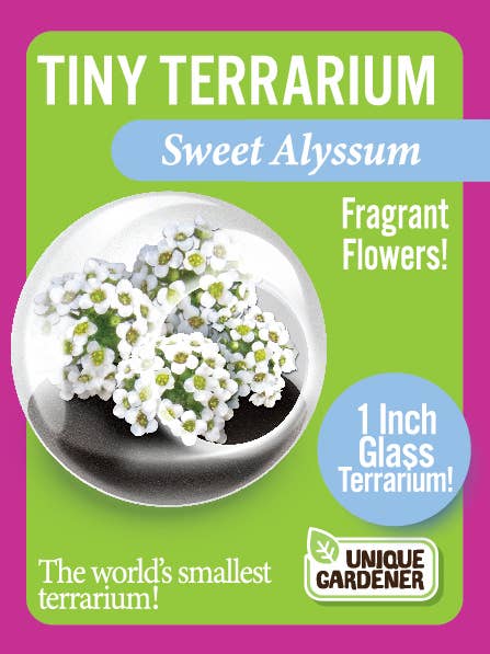 The World's Smallest Terrarium